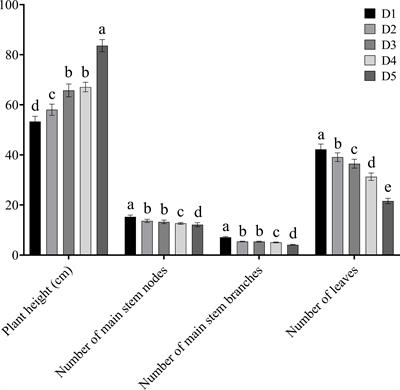 Increasing planting density can improve the yield of Tartary buckwheat